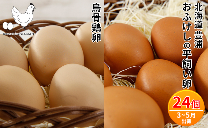 北海道 豊浦 おふけしの平飼い卵18個+BioPio 烏骨鶏卵 6個[3月〜5月出荷]