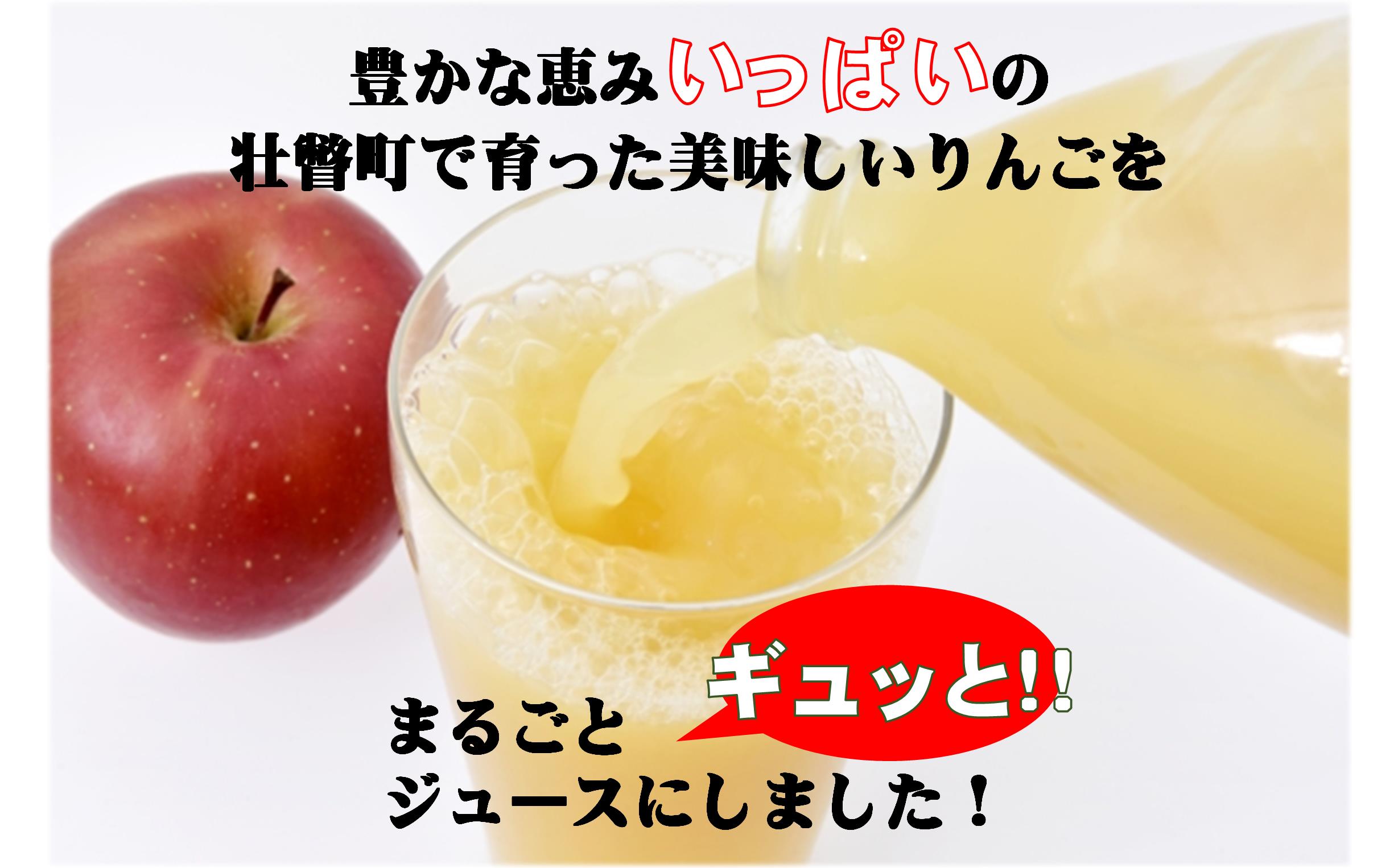 <2026年1月下旬よりお届け>りんごジュース「北国の雫」(壮瞥町産りんご100%) 300ml×5本 SBTA082