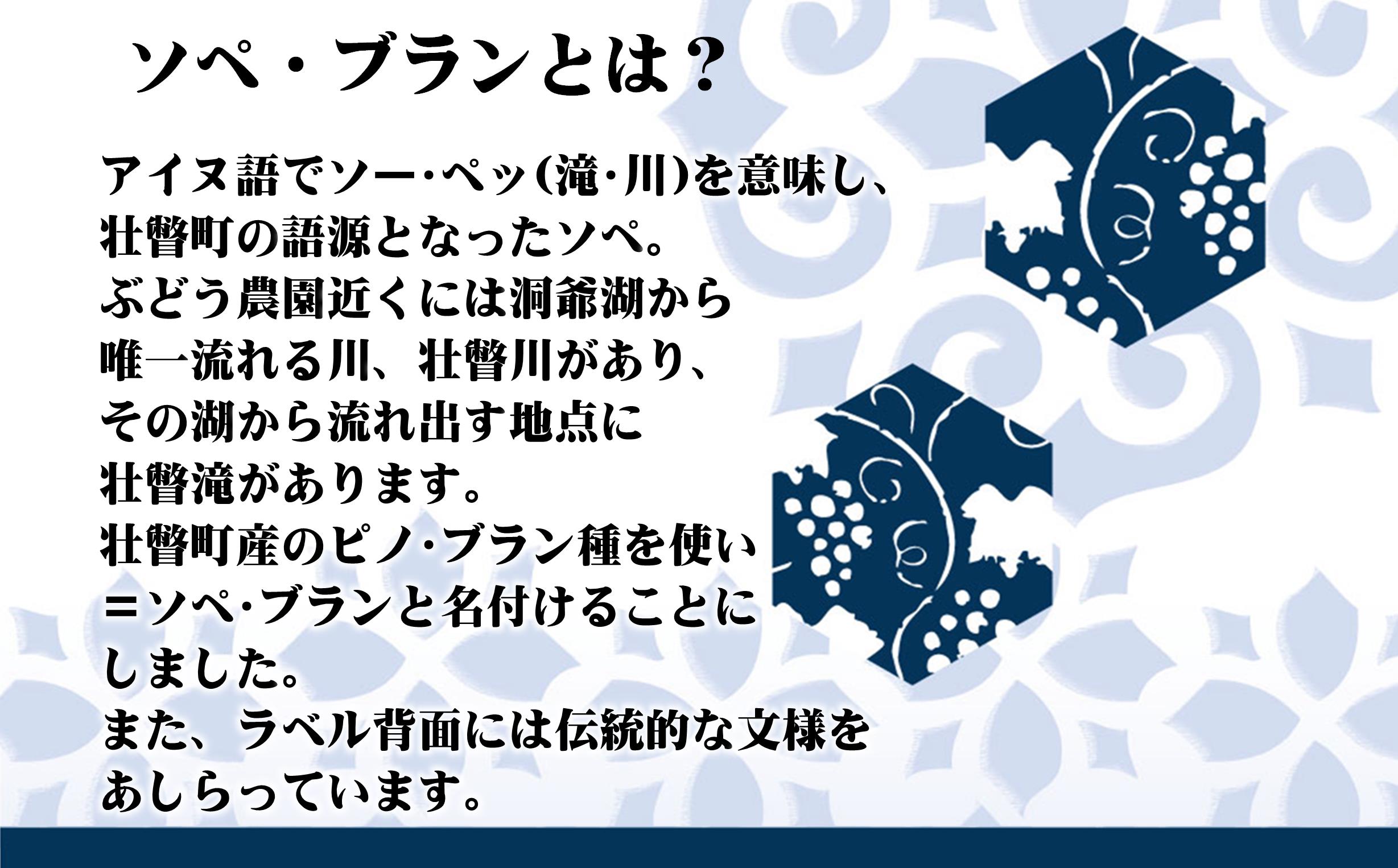 北海道壮瞥産 ソペ・ブラン2023(辛口白ワイン) 750ml SBTA084