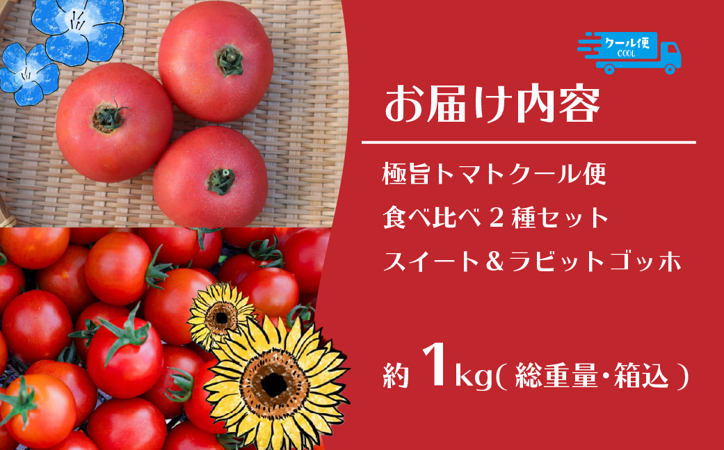 【2026年予約】極旨トマトクール便 食べ比べ2種セット 北海道壮瞥町産 スイート＆ラビットゴッホ 1kg 中玉トマト SBTAJ026