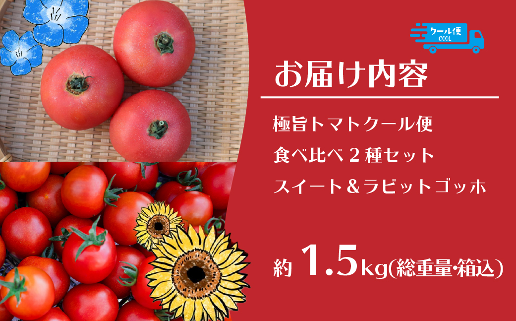 【2026年予約】極旨トマトクール便 食べ比べ2種セット 北海道壮瞥町産 スイート＆ラビットゴッホ 1.5kg 中玉トマト SBTAJ027