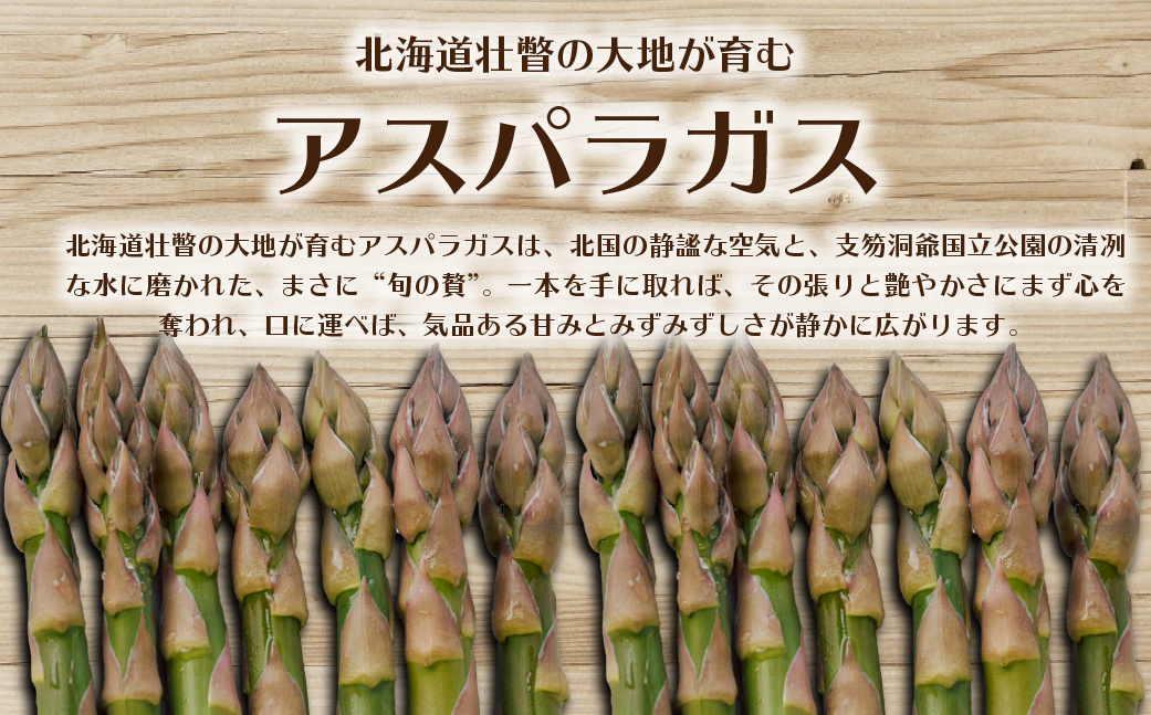 【2026年予約】朝採りグリーンアスパラ（春芽）M-L混合 約800g 北海道壮瞥町産 SBTAJ031