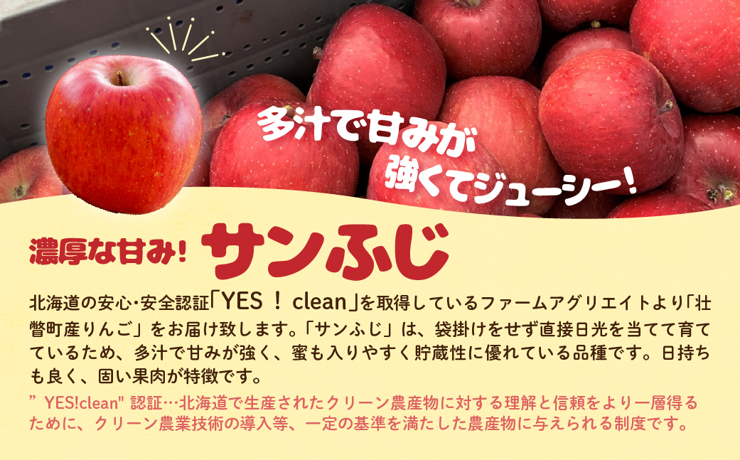 ファームアグリエイトのりんご「サンふじ」約5kg（16～20玉） SBTB015