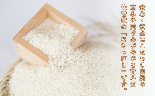 【令和7年産新米】<10月上旬よりお届け>あのさんちの美味しいお米 ななつぼし 精米5kg SBTL018