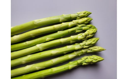 ＜2026年5月中・下旬よりお届け＞北海道壮瞥産「ファーム横山」朝採れ直送　グリーンアスパラ約1kg（Ｍ・L混合） SBTM001