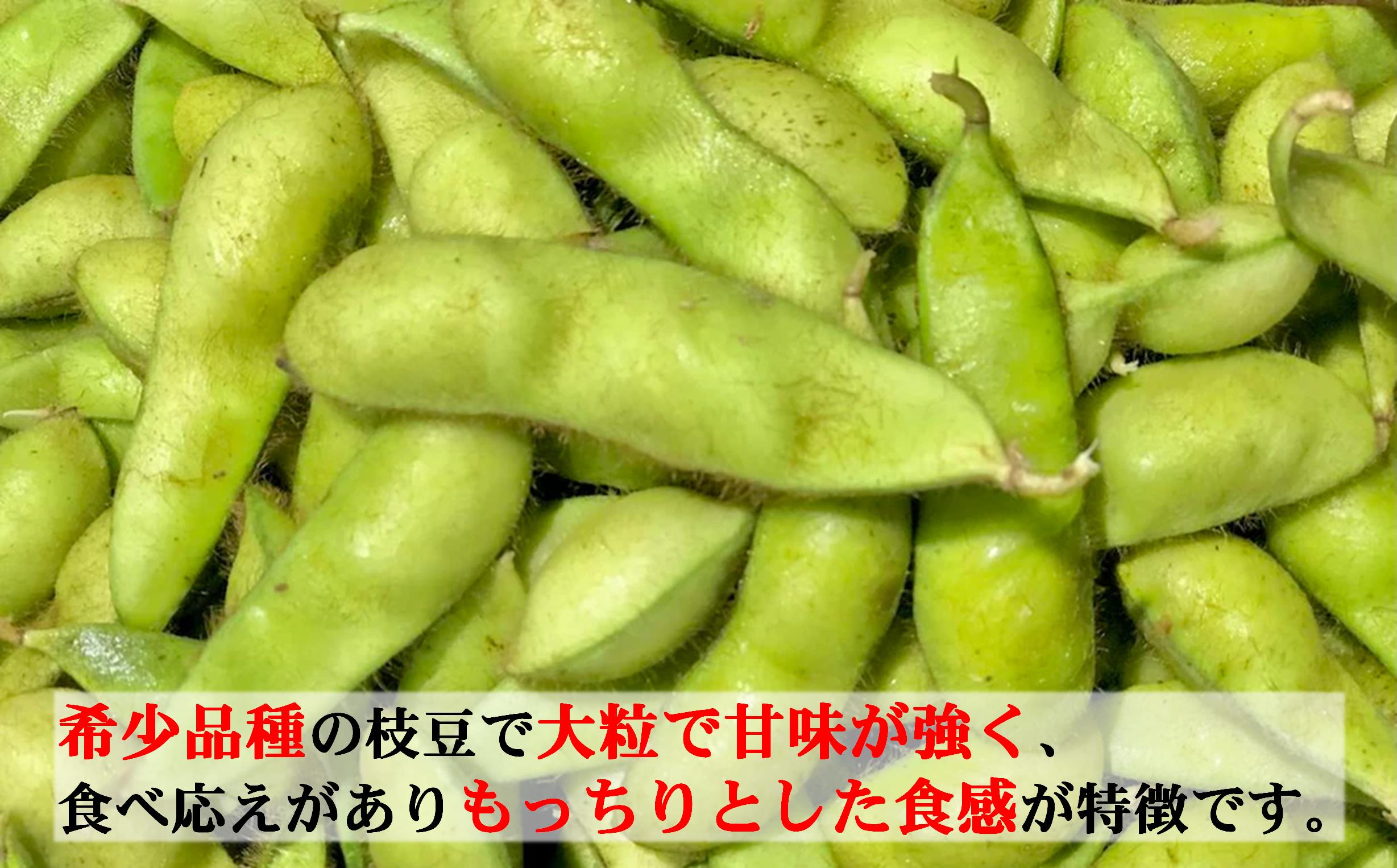 <2025年9月中旬よりお届け>枝付き枝豆「たまふくら」約3kg SBTM007