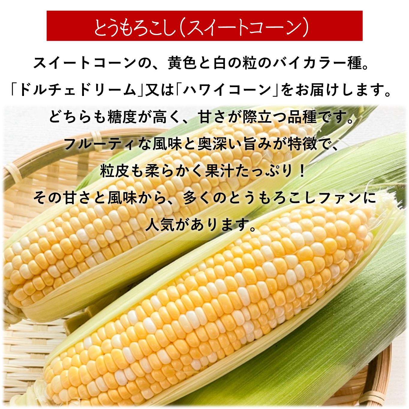 ＜2026年8月上旬よりお届け＞北海道壮瞥産 とうもろこし（スイートコーン）13本 約5kg SBTN001