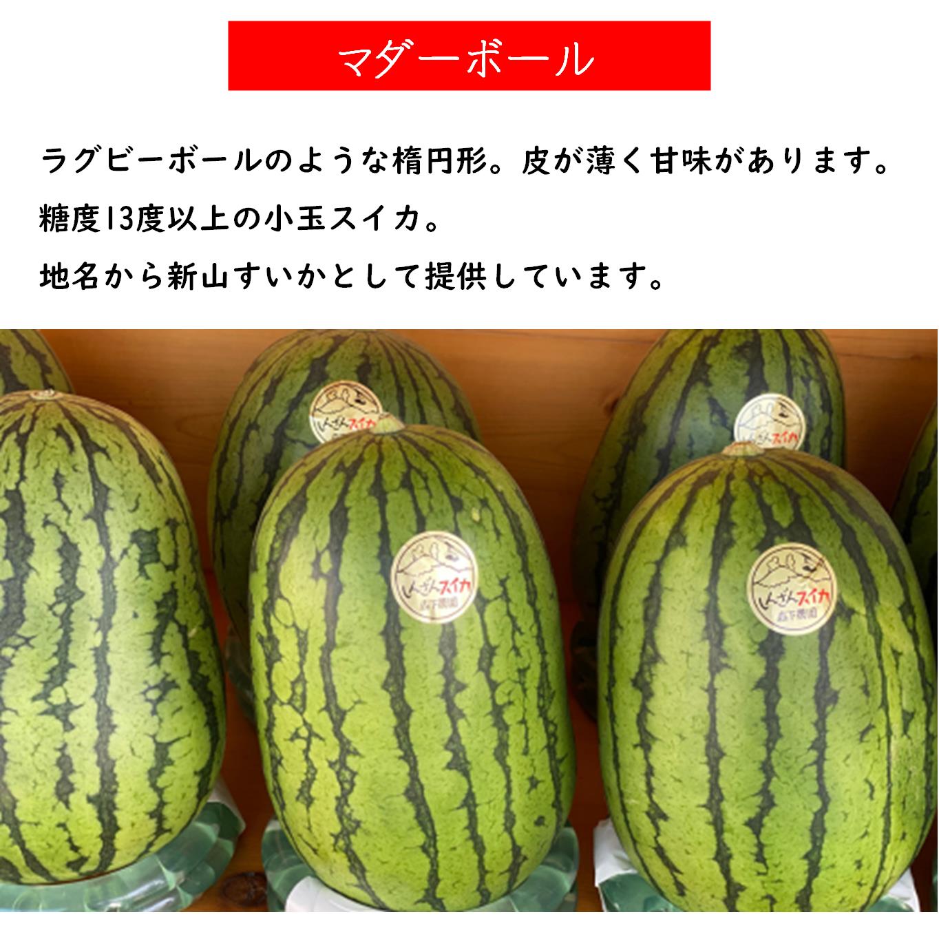 ＜2026年8月上旬よりお届け＞北海道壮瞥産　新山すいか 小玉すいか（マダーボール）Lサイズ2玉 スイカ SBTN002