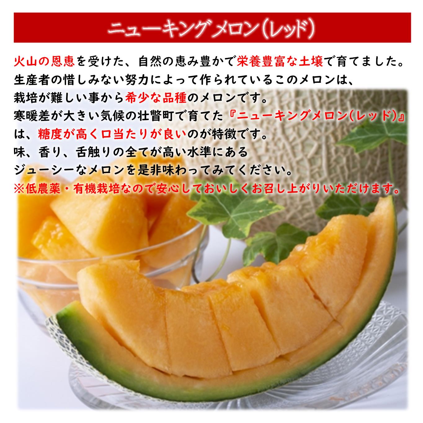 ＜2026年7月下旬よりお届け＞北海道壮瞥産 赤肉メロン（ニューキングメロン）2玉 約3kg SBTN003