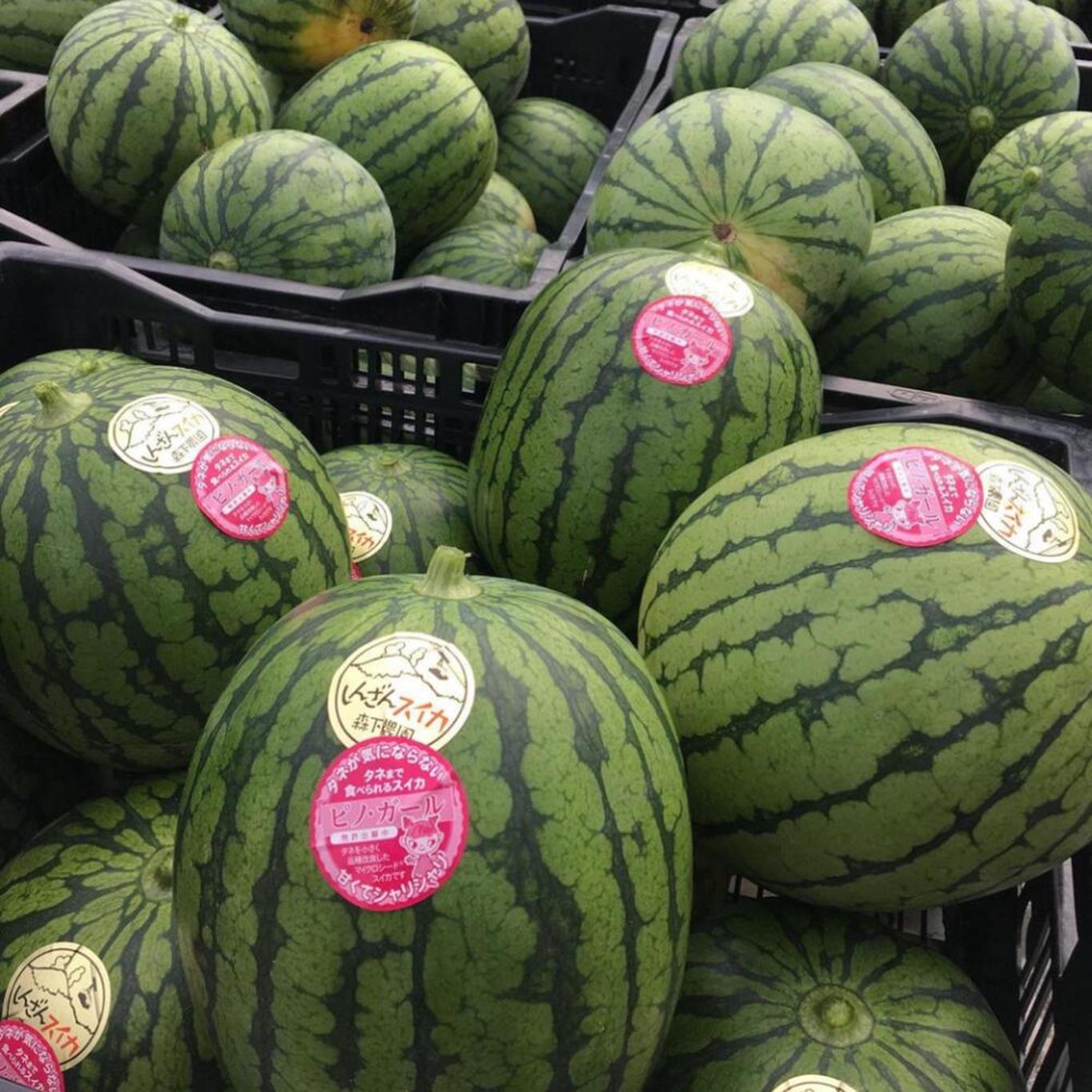 ＜2026年8月上旬より順次お届け＞北海道壮瞥産 小玉すいか（赤肉・ピノガール）2玉約3kg スイカ　 SBTN004