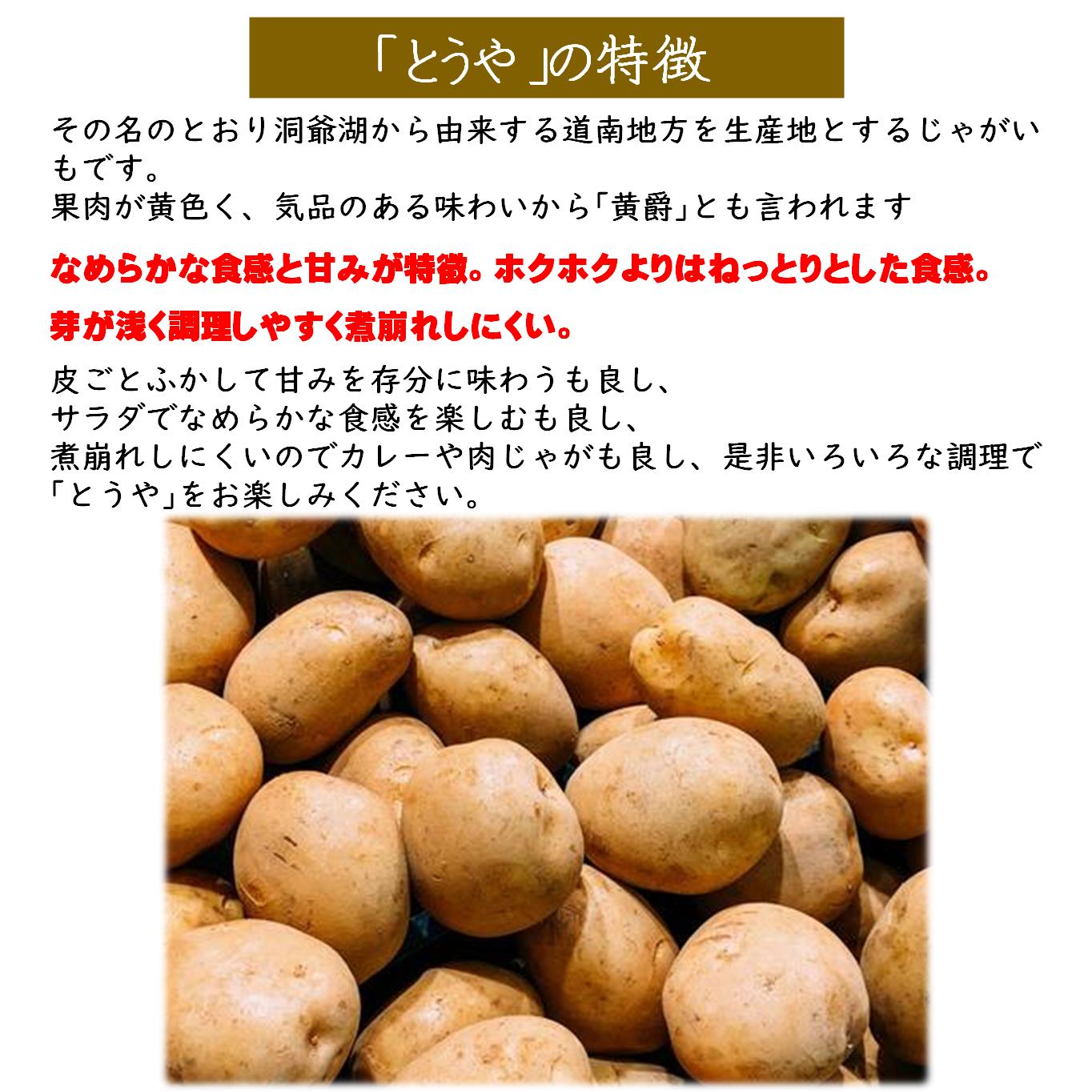 ＜2026年9月下旬よりお届け＞北海道壮瞥町産じゃがいも（とうや）Lサイズ10kg SBTN005