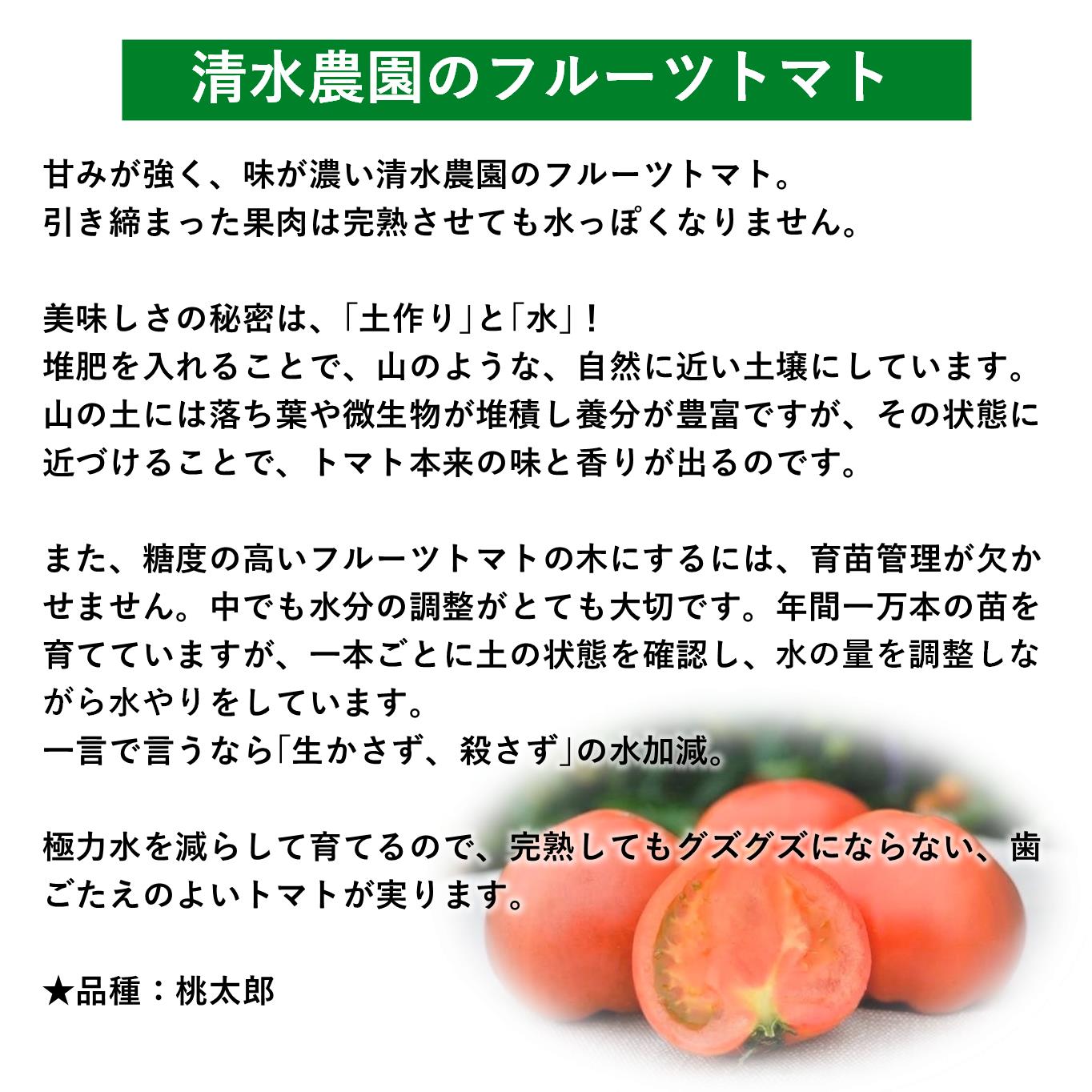 ＜2026年6月下旬よりお届け＞【農園直送】北海道壮瞥産 こだわりフルーツトマト　20玉以上 SBTO003