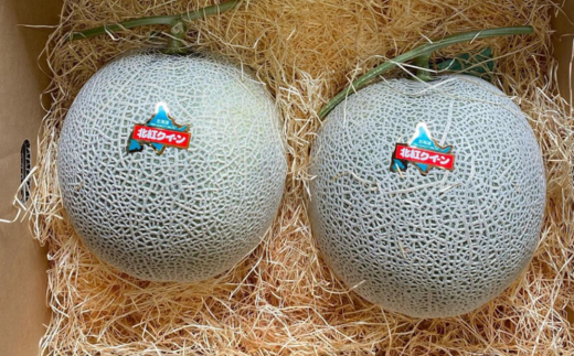 ＜2026年7月上旬よりお届け＞北海道壮瞥産 赤肉メロン「北紅クイーン」2玉入り約3.2kg以上 SBTP004