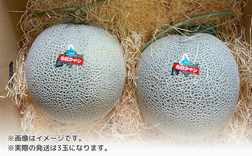 ＜2026年7月上旬よりお届け＞北海道壮瞥産 赤肉メロン「北紅クイーン」3玉入り 約5kg以上 SBTP005