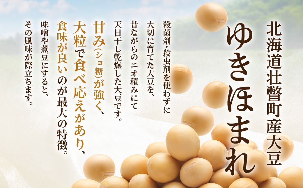 北海道壮瞥町産大豆 ゆきほまれ 約3kg SBTQ009