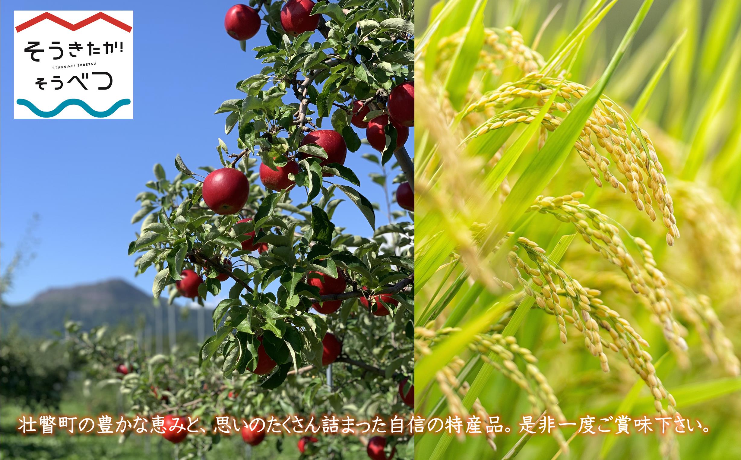 シードル・デ・ソウベツ（ドライ）500ml×12本 SBTA023