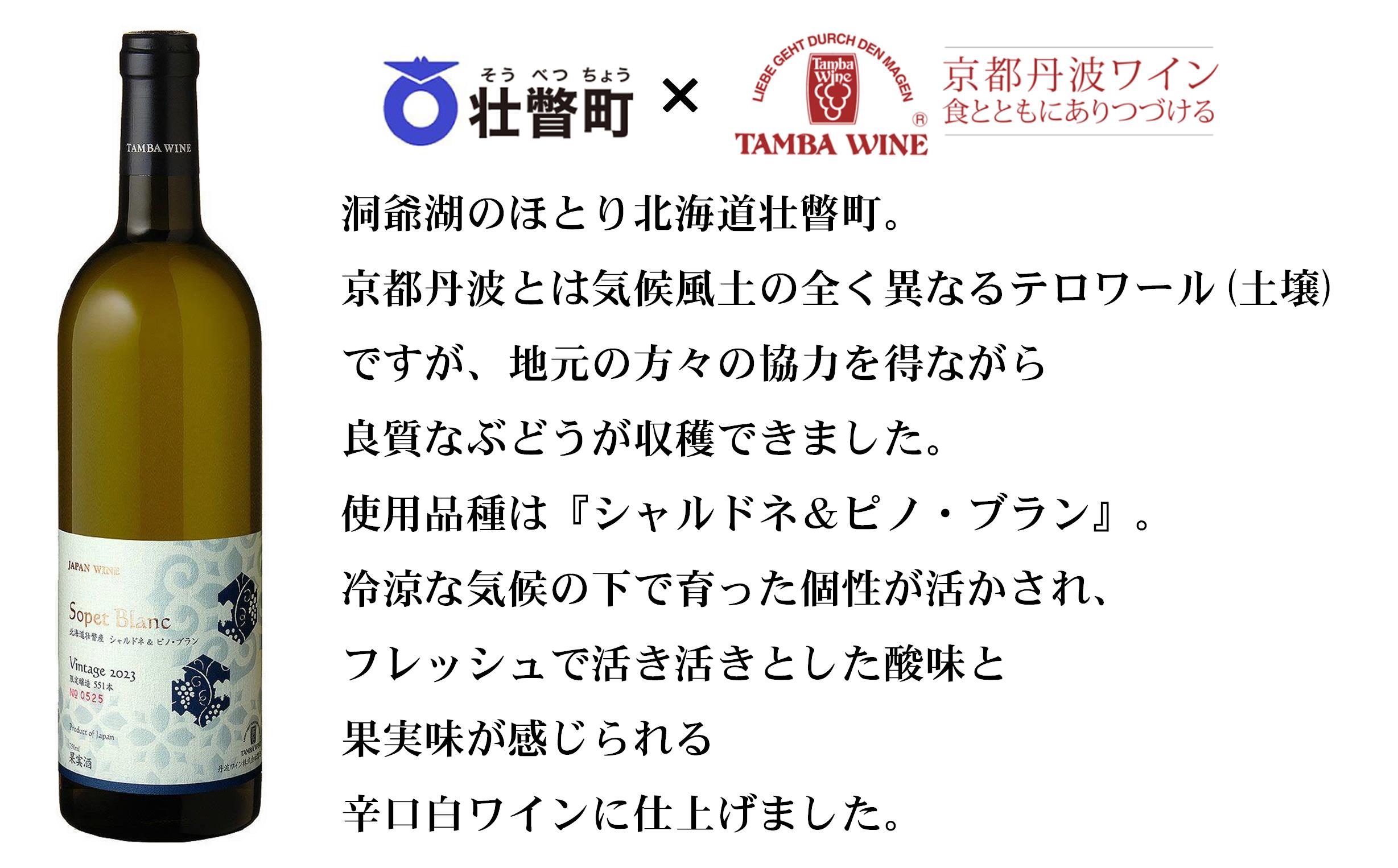 北海道壮瞥産 ソペ・ブラン2023(辛口白ワイン) 750ml×2本 SBTA085