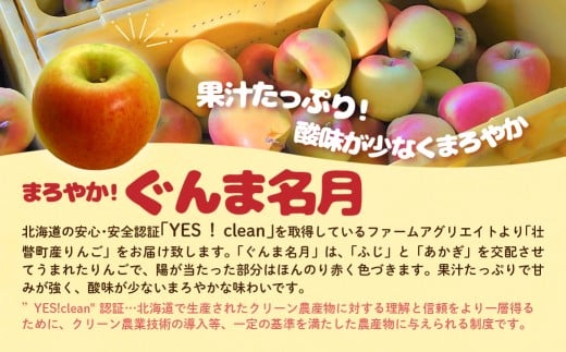 ファームアグリエイトのりんご食べ比べ「ぐんま名月」「サンふじ」計 約5kg（16～20玉）SBTB016