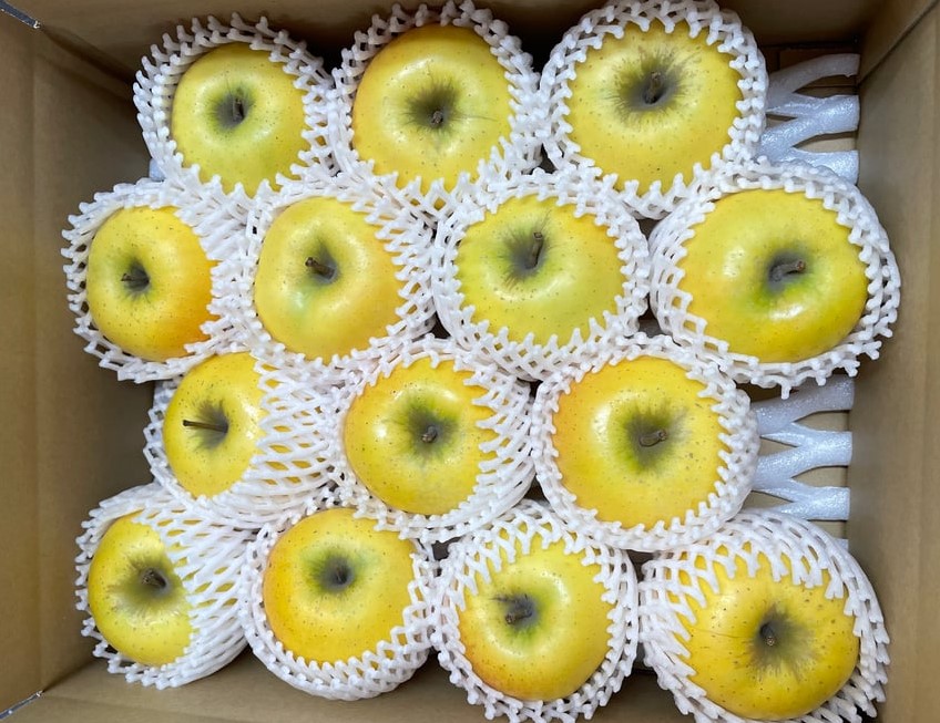 北海道壮瞥町　りんご(スマートフレッシュ)　品種名「シナノゴールド」8～10玉約3kg　SBTF028