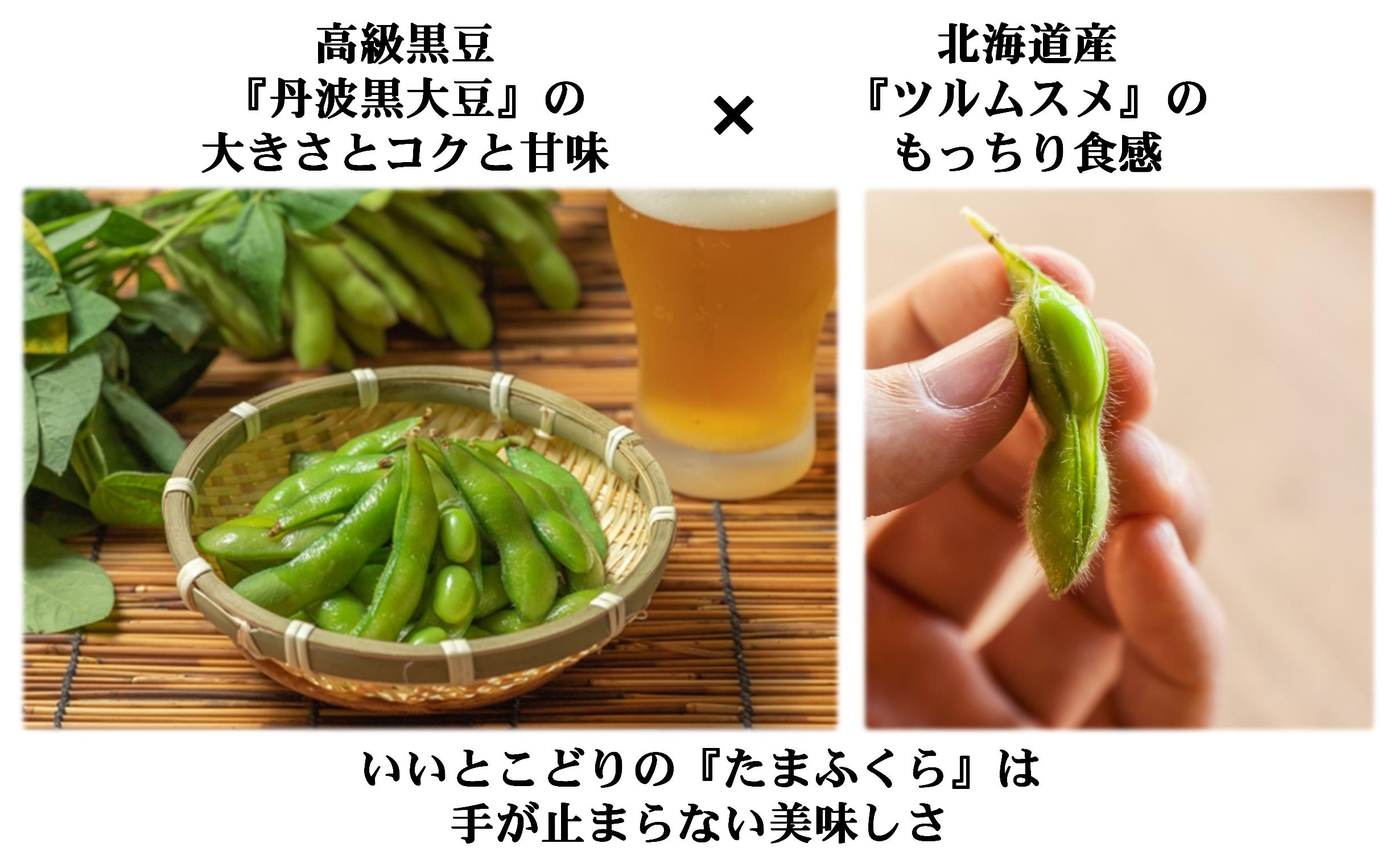 <2025年9月中旬よりお届け>枝付き枝豆「たまふくら」約3kg SBTM007