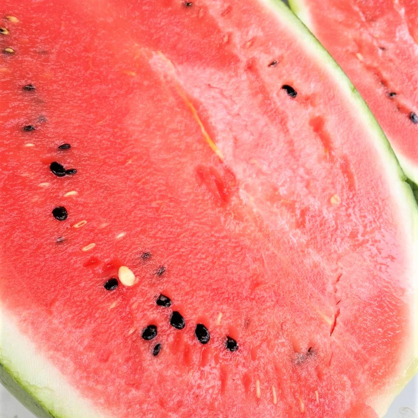 ＜2026年8月上旬よりお届け＞北海道壮瞥産　新山すいか 小玉すいか（マダーボール）Lサイズ2玉 スイカ SBTN002