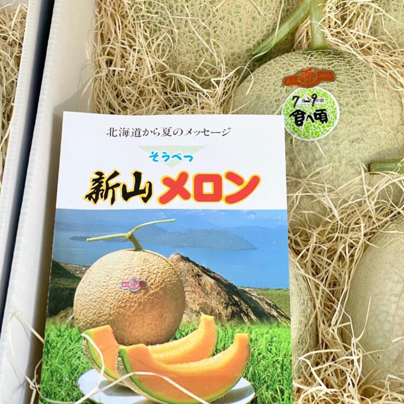＜2026年7月下旬よりお届け＞北海道壮瞥産 赤肉メロン（ニューキングメロン）2玉 約3kg SBTN003