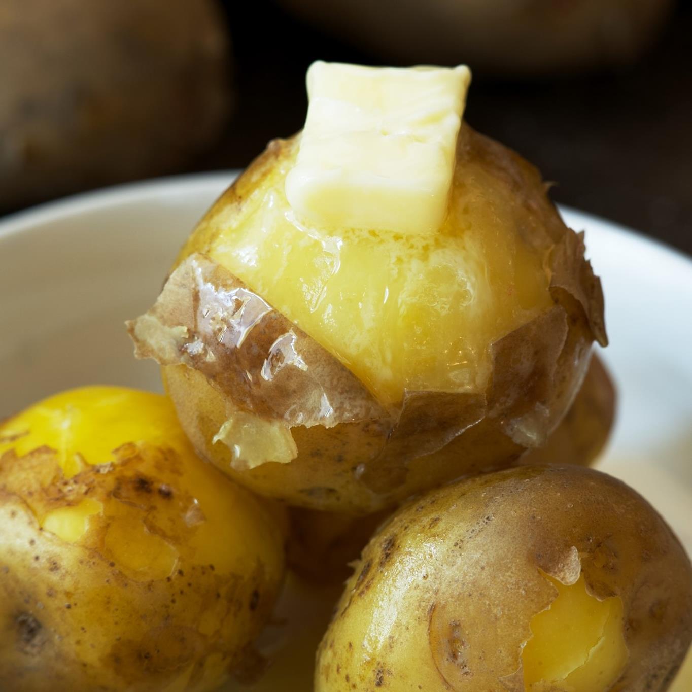 ＜2026年9月下旬よりお届け＞北海道壮瞥町産じゃがいも（とうや）Lサイズ10kg SBTN005