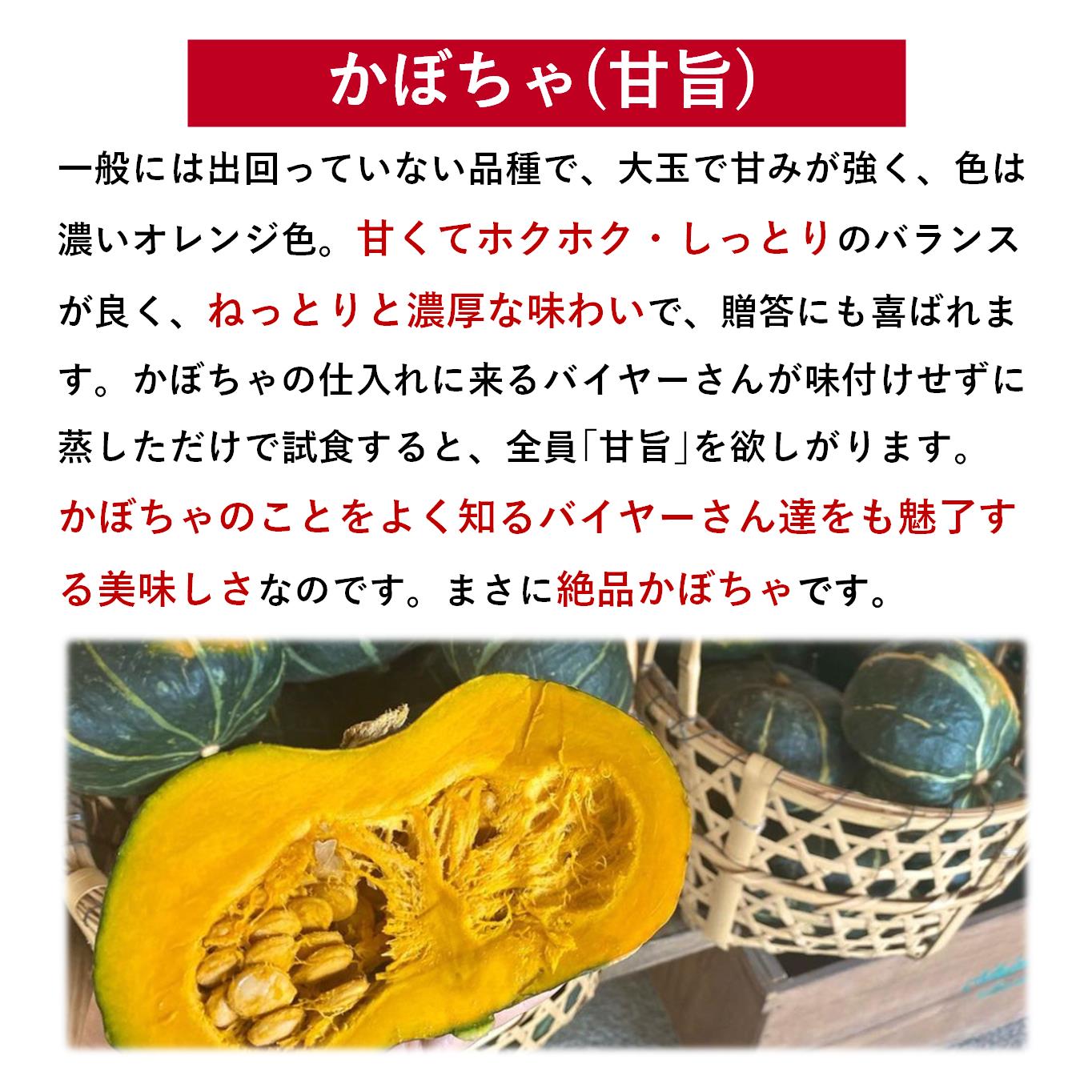 ＜2026年9月初旬よりお届け＞【農園直送】清水農園のかぼちゃ(甘旨）約10kg (4～6玉) SBTO013