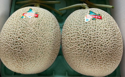 ＜2026年7月上旬よりお届け＞北海道壮瞥産 赤肉メロン「北紅クイーン」2玉入り約4.0kg以上  SBTP003