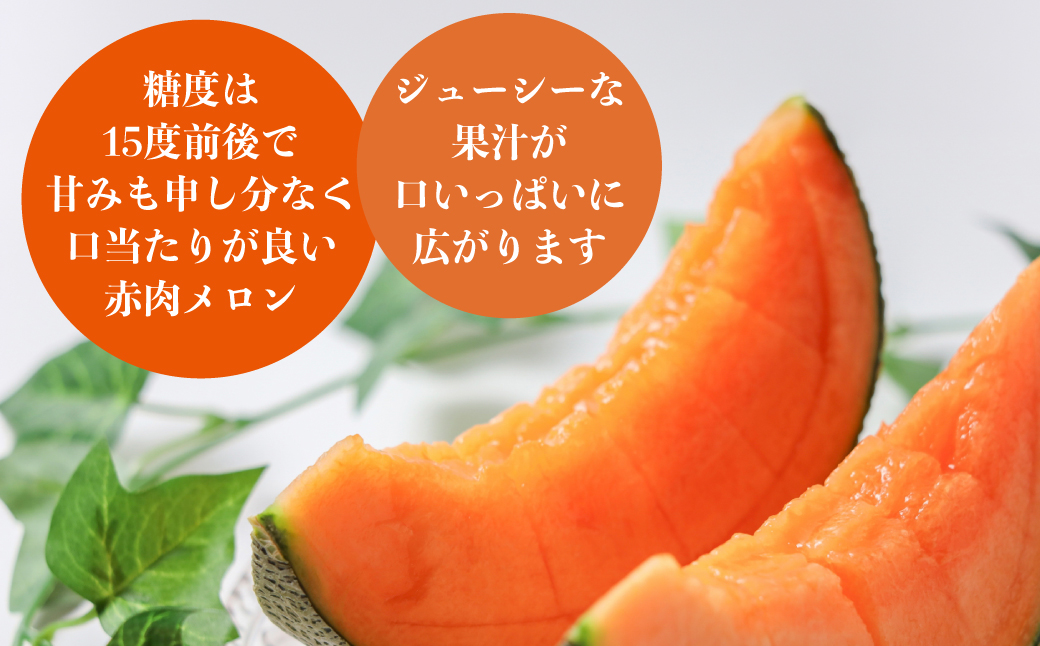 ＜2026年7月上旬よりお届け＞北海道壮瞥産 赤肉メロン「北紅クイーン」3玉入り 約5kg以上 SBTP005