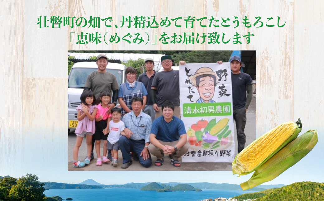 ＜2026年8月初旬よりお届け＞約10kg！北海道壮瞥産とうもろこし（恵味）【Ｌ～2Lサイズ 22～25本】 SBTP006