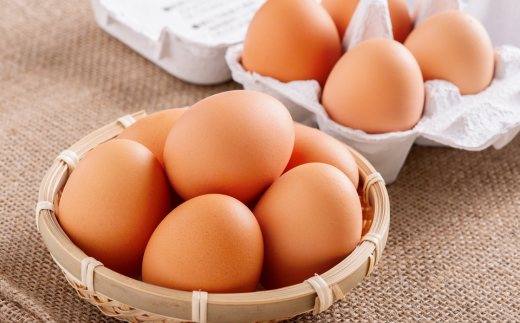 平飼い有精卵『たつかの恵み』 SBTT011