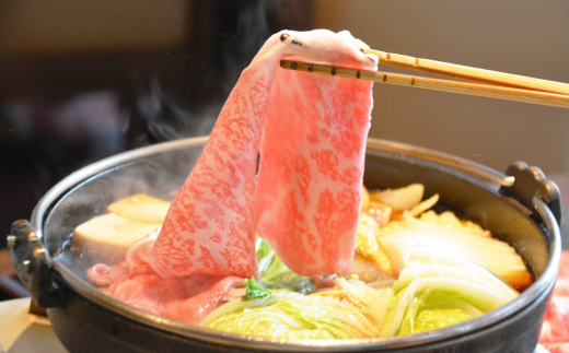 ≪希少≫奥洞爺牛ローススライス500g×2パック SBTY003