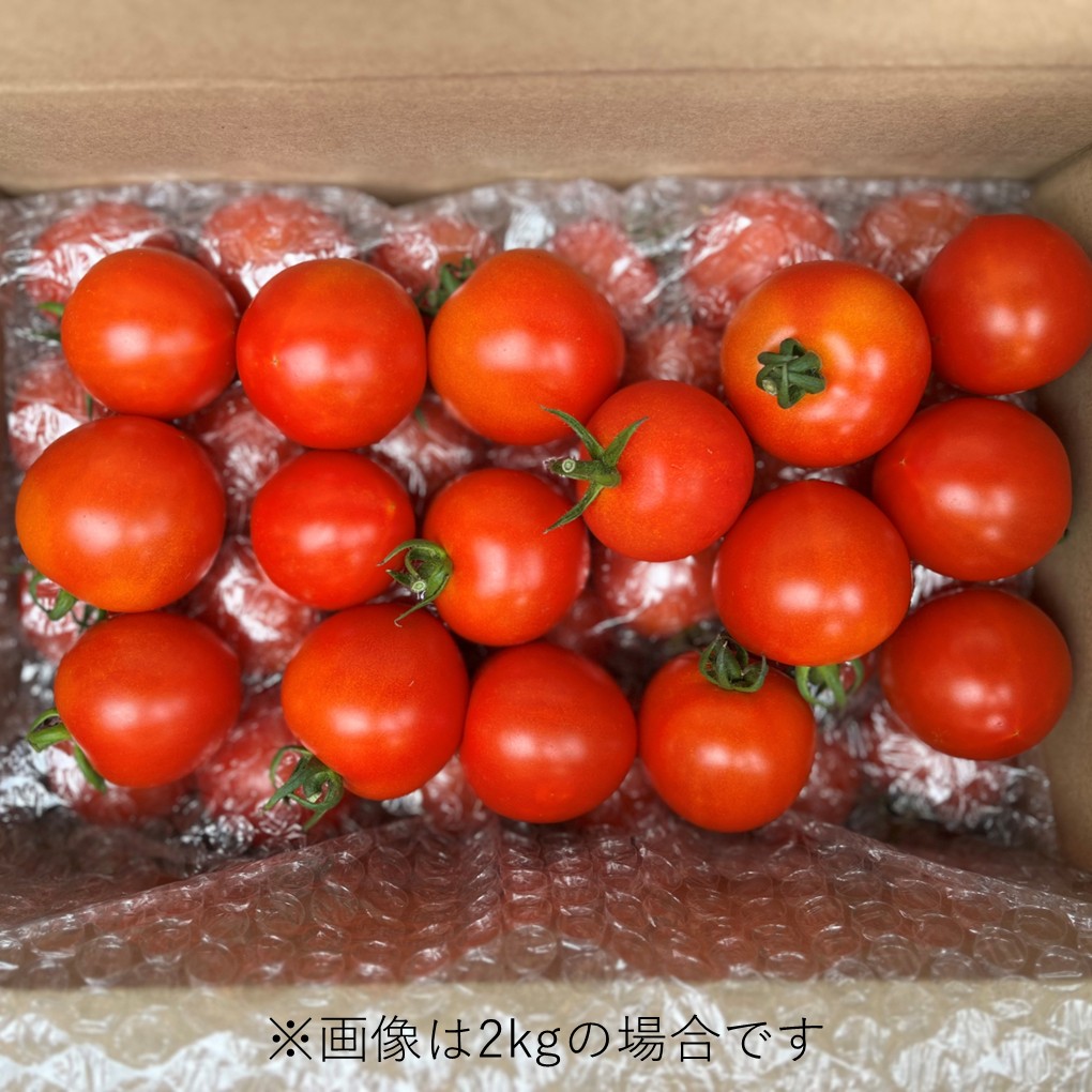 北海道壮瞥町産 ラビットゴッホ4kg 中玉トマト SBTAJ005