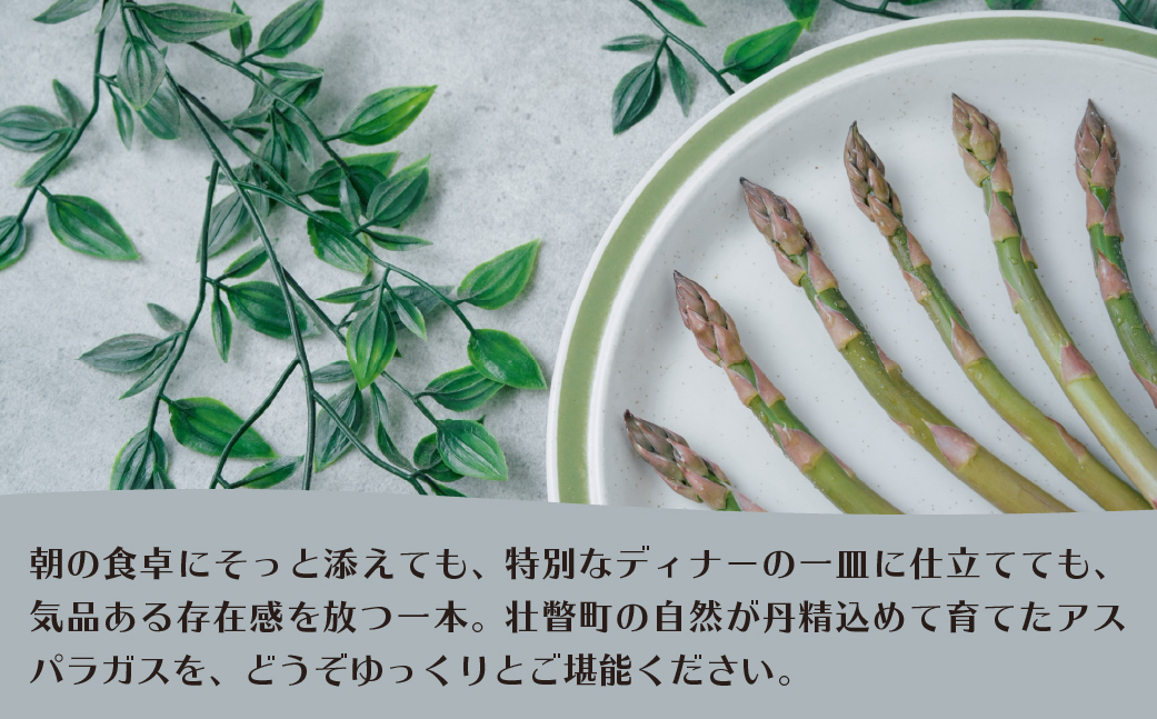 【2026年予約】朝採りグリーンアスパラ（春芽）M-L混合 約1kg 北海道壮瞥町産 SBTAJ032