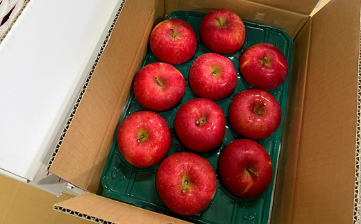 ＜2025年10月中旬よりお届け＞ 北海道壮瞥町 りんご 品種名「早生ふじ」8～10玉約3kg SBTF002