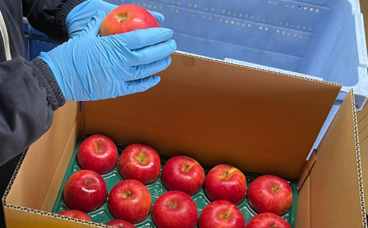 ＜2025年10月下旬よりお届け＞北海道壮瞥町 りんご「シナノスイート」12～18玉約5kg SBTF012