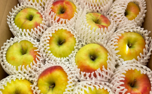 ＜2025年11月上旬よりお届け＞北海道壮瞥町 りんご「ぐんま名月」12～20玉約5kg SBTF013