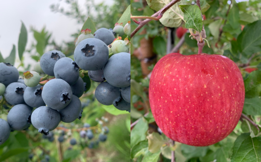 手作りジャムお楽しみセット(3種計3本) SBTK001