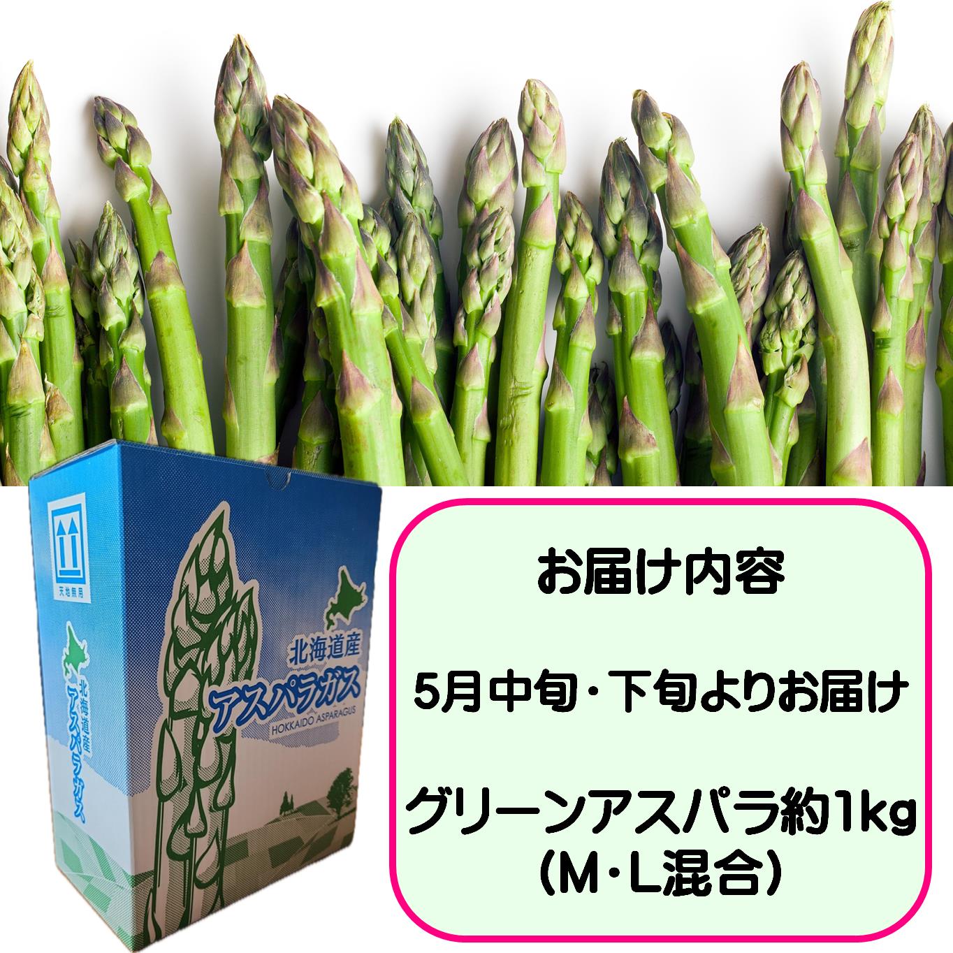 ＜2026年5月中・下旬よりお届け＞北海道壮瞥産「ファーム横山」朝採れ直送　グリーンアスパラ約1kg（Ｍ・L混合） SBTM001
