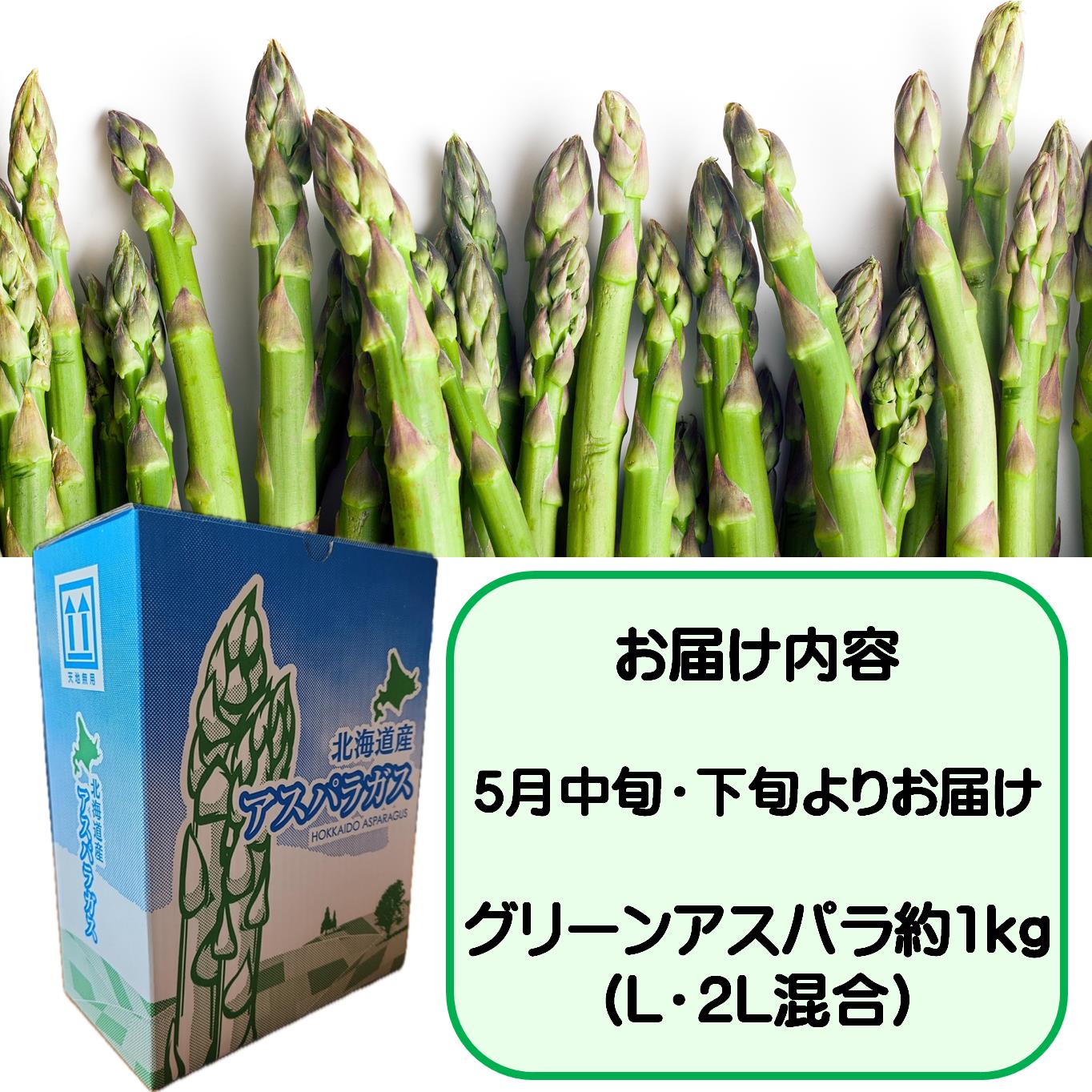 ＜2026年5月中・下旬よりお届け＞北海道壮瞥産「ファーム横山」朝採れ直送　グリーンアスパラ約1kg（L・2L混合） SBTM008