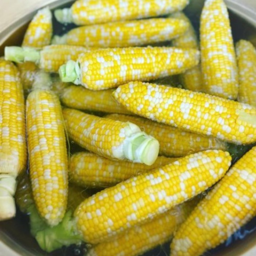＜2026年8月上旬よりお届け＞北海道壮瞥産 とうもろこし（スイートコーン）13本 約5kg SBTN001