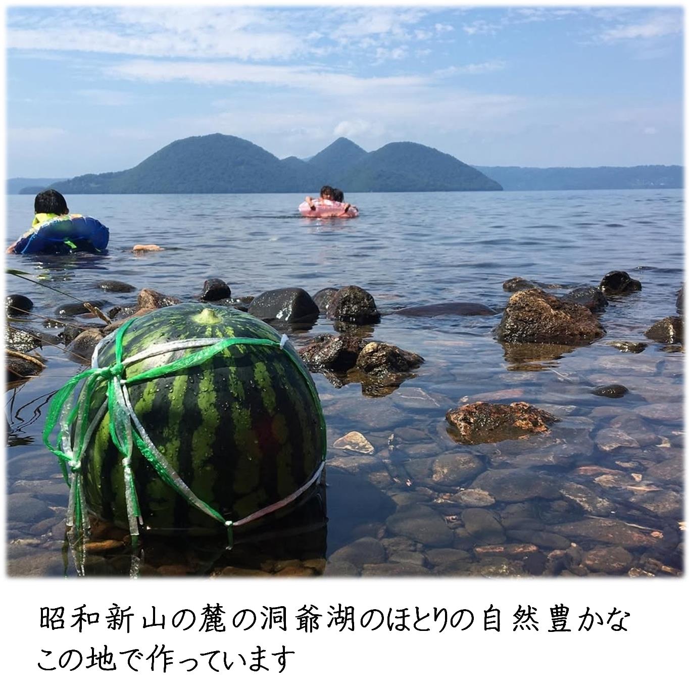 ＜2026年8月上旬よりお届け＞北海道壮瞥産　新山すいか 小玉すいか（マダーボール）Lサイズ2玉 スイカ SBTN002