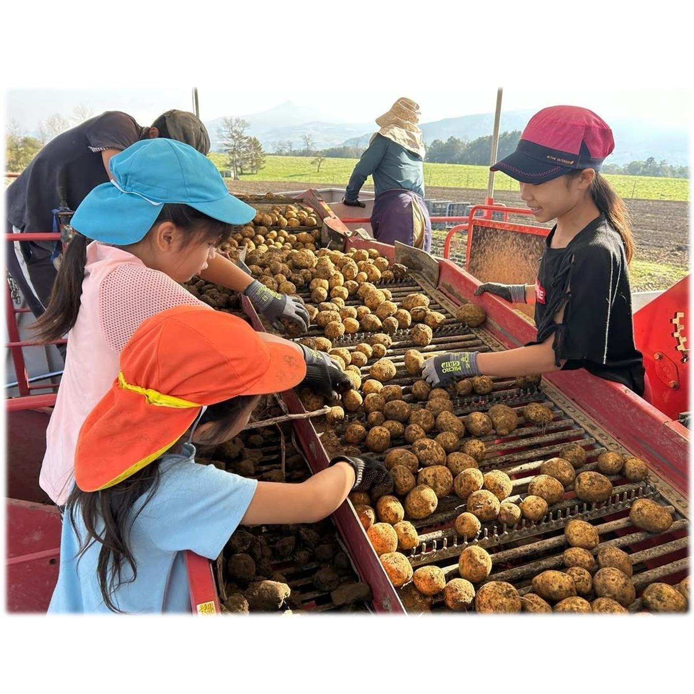 ＜2026年9月下旬よりお届け＞北海道壮瞥町産じゃがいも（とうや）Lサイズ10kg SBTN005