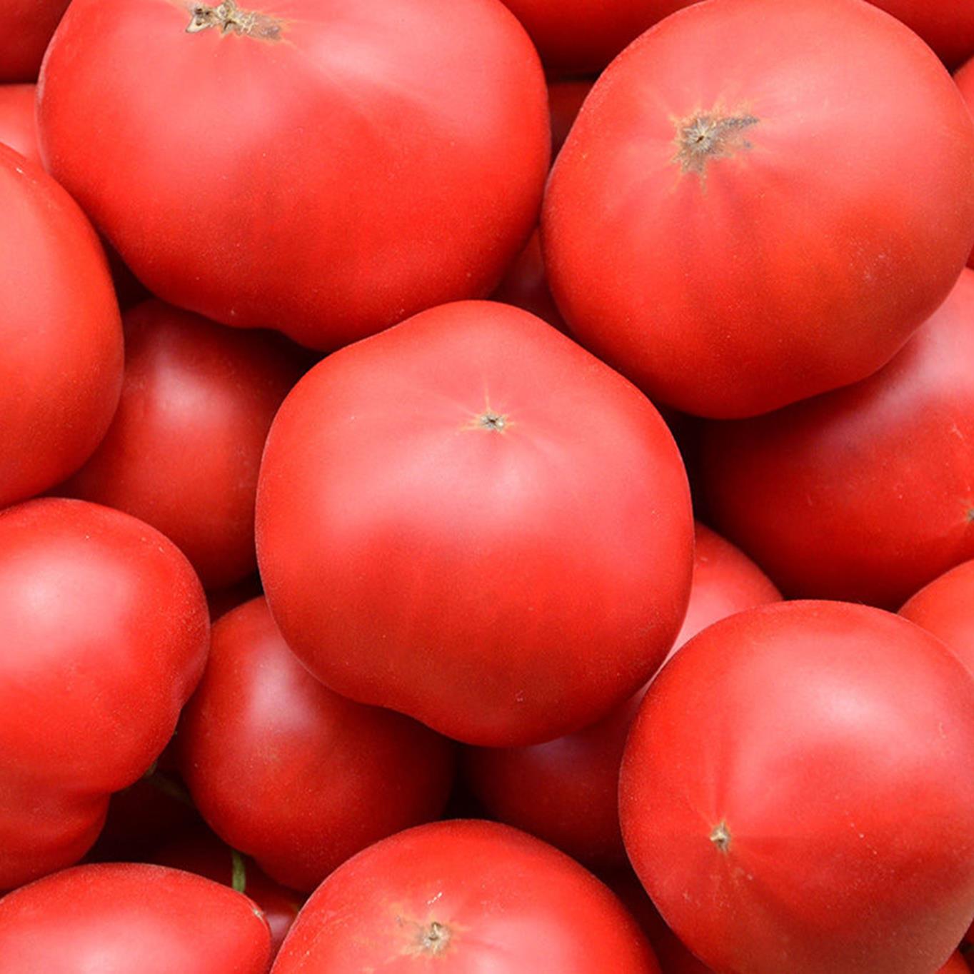 【糖度８度以上】フルーツトマトジュース 710ml×2本 SBTO001