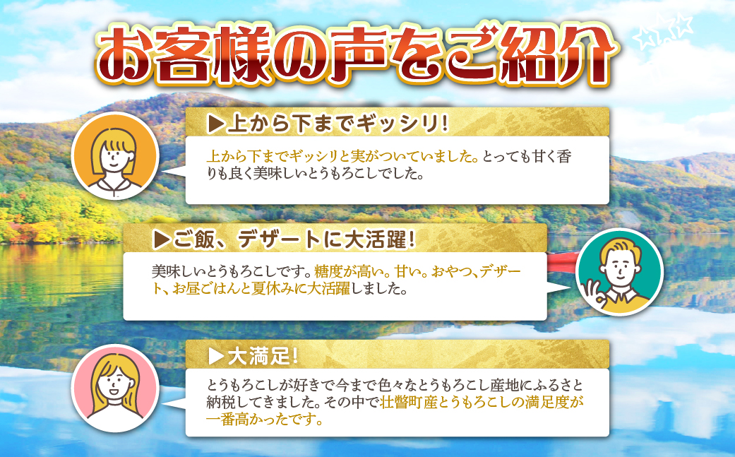 ＜2026年8月初旬よりお届け＞約5kg！北海道壮瞥産とうもろこし（恵味）【Ｌ～2Lサイズ 11～13本】 SBTP002