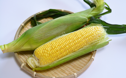 ＜2026年8月初旬よりお届け＞約5kg！北海道壮瞥産とうもろこし（恵味）【Ｌ～2Lサイズ 11～13本】 SBTP002