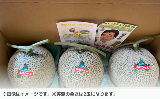＜2026年7月上旬よりお届け＞北海道壮瞥産 赤肉メロン「北紅クイーン」2玉入り約4.0kg以上  SBTP003
