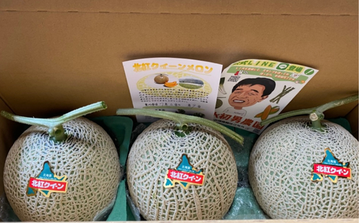 ＜2026年7月上旬よりお届け＞北海道壮瞥産 赤肉メロン「北紅クイーン」3玉入り 約5kg以上 SBTP005