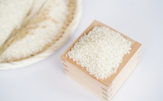 ＜2026年7月・8月・10月お届け＞清水初男農園　メロン・とうもろこし・お米　3回お届け定期便 先行予約 SBTP010